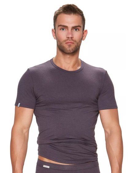 Pánské jednobarevné tričko s krátkým rukávem 113 Fabio (Barva/Velikost <img KodProduktu="2101182113H">modrá melír / XXL/3XL)