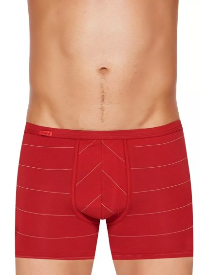 Pánské boxerky s delší nohavičkou a podélným proužkem vzor 74 Fabio (Barva/Velikost <img KodProduktu="2110113074H">vínová světlá / XL/XXL)