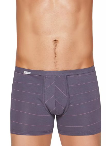 Pánské boxerky s delší nohavičkou a podélným proužkem vzor 88 Fabio (Barva/Velikost <img KodProduktu="2110113088H">šedá / XL/XXL)
