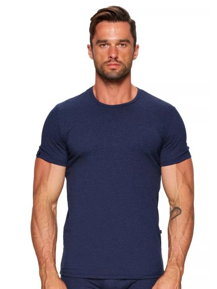 Pánské tričko s krátkým rukávem Fabio (Barva/Velikost <img KodProduktu="2101182066H">modrá tmavá / XXL/3XL)