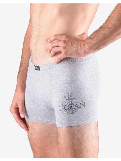 Boxerky s kratší nohavičkou 73115P (Barva/Velikost <img KodProduktu="73115P">atlantic, lékořice / S/M)