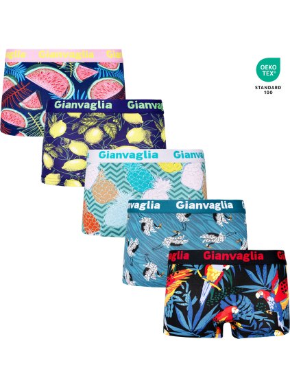 5-PACK Dámských nižších boxerek Tropy 8872 (Barva/Velikost <img KodProduktu="8872-Holland">mix 5 vzorů viz foto / XL/XXL)