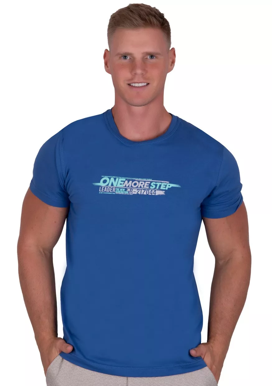 Pánské tričko vzor 320 TDS Barva/Velikost: modrá / XXL/3XL