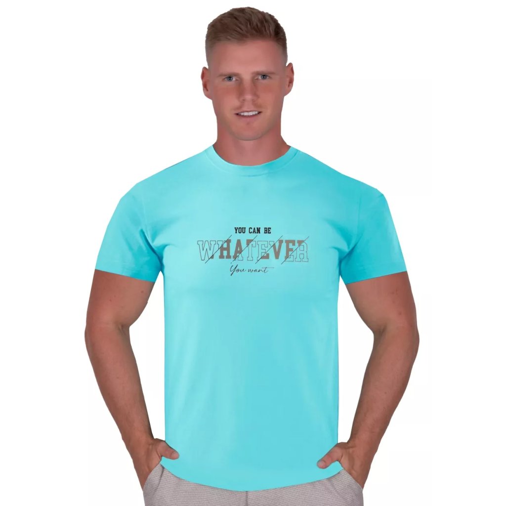 Pánske jednofarebné tričko s krátkym rukávom TDS (Farba / Veľkosť <img KodProduktu="22315H"> modrá / 3XL/4XL)