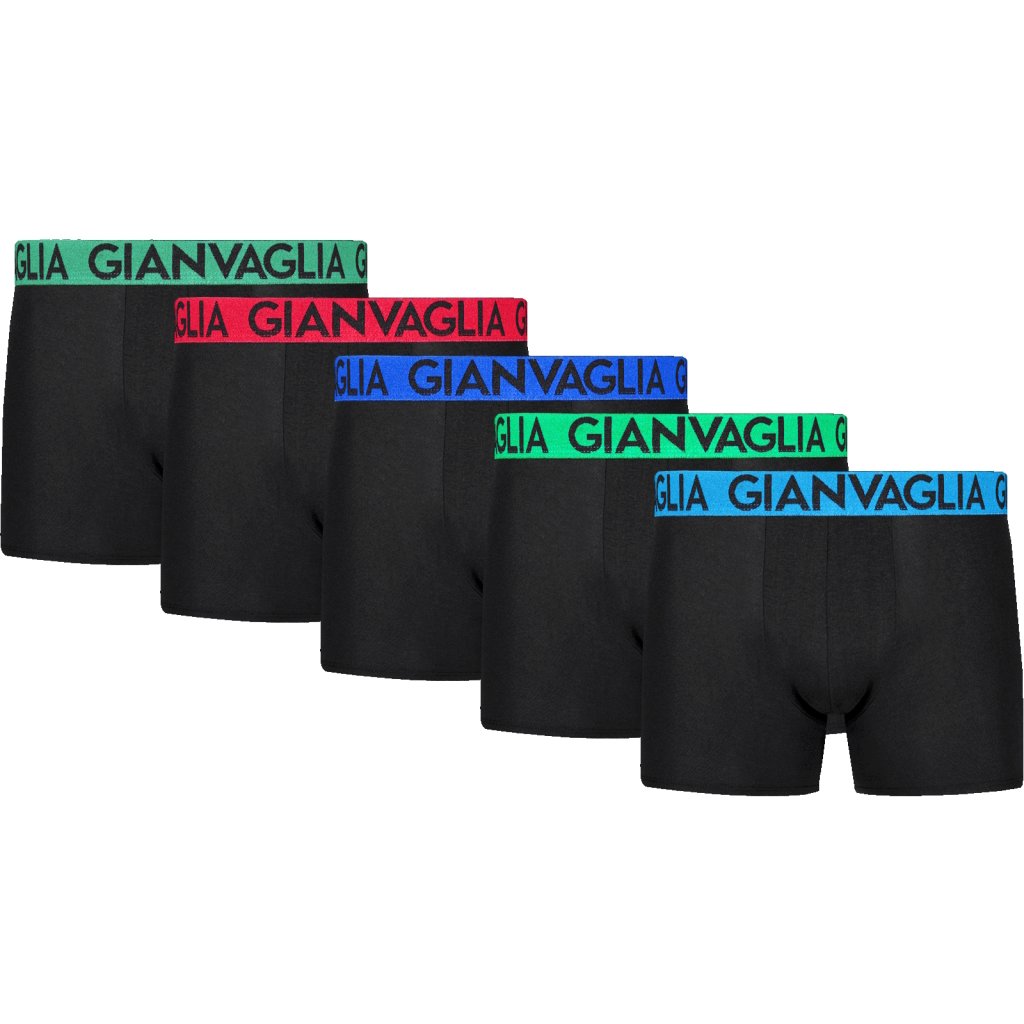 5-PACK Výhodné balenie pánskych boxeriek Gianvaglia 021 (Farba / Veľkosť <img KodProduktu="Boxerky-Basic-021-Holland"> černá mix barev lemu / XXL/3XL)