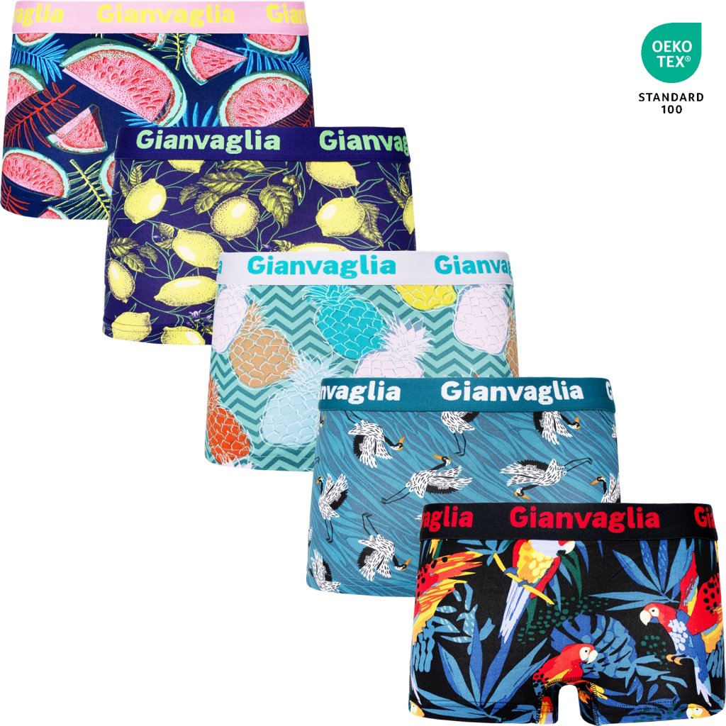 5-PACK Dámskych nižších boxeriek Tropy 8872 (Farba / Veľkosť <img KodProduktu="8872-Holland"> mix 5 vzorů viz foto / XL/XXL)