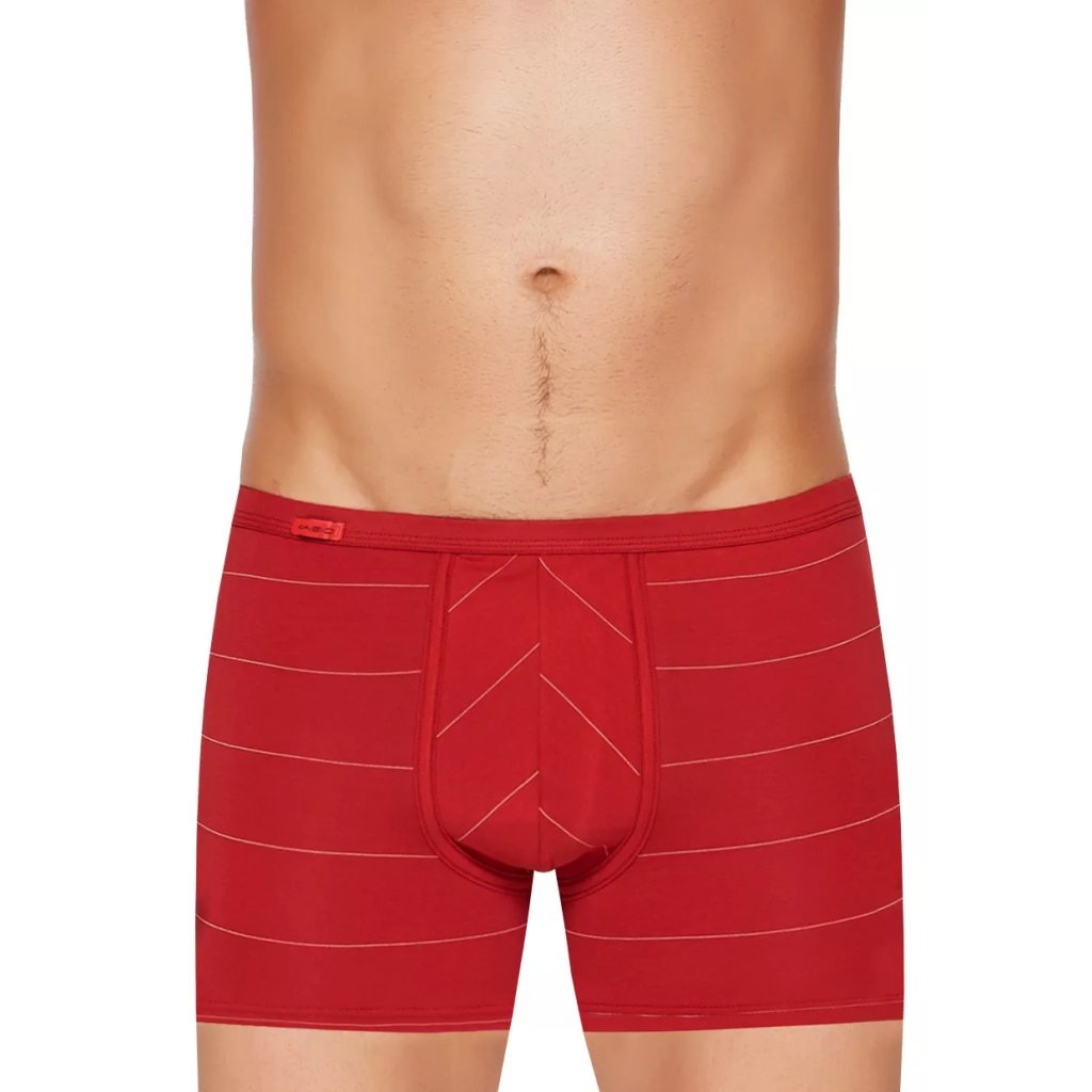 Pánske boxerky s dlhšou nohavičkou a pozdĺžnym prúžkom vzor 74 Fabio (Farba / Veľkosť <img KodProduktu="2110113074H"> vínová svetlá / S/M)