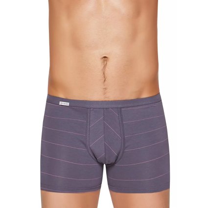 Pánske boxerky s dlhšou nohavičkou a pozdĺžnym prúžkom vzor 88 Fabio (Farba / Veľkosť <img KodProduktu="2110113088H"> šedá / S/M)