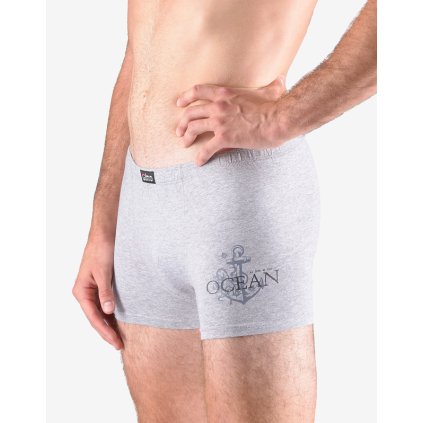 Výhodné balenie 5 kusov - Boxerky s kratšou nohavičkou 73115P (Farba / Veľkosť <img KodProduktu="73115P"> sv. šedá, tm. šedá / L/XL)