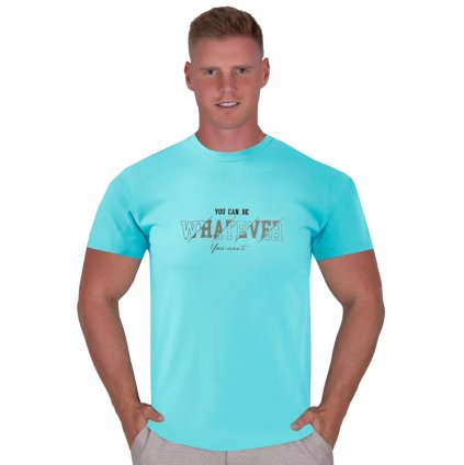 Pánske jednofarebné tričko s krátkym rukávom TDS (Farba / Veľkosť <img KodProduktu="22315H"> modrá / 3XL/4XL)