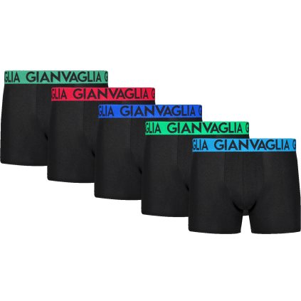 5-PACK Výhodné balenie pánskych boxeriek Gianvaglia 021 (Farba / Veľkosť <img KodProduktu="Boxerky-Basic-021-Holland"> černá mix barev lemu / XXL/3XL)