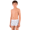 chlapecke boxerky u241 risveglia