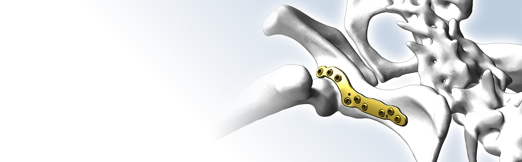 Prodej veterinárních a chirurgickým implantátů