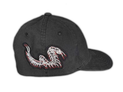 CENTIPEDE CAP