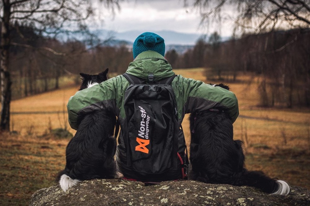 Non-stop dogwear Backpack - recenze