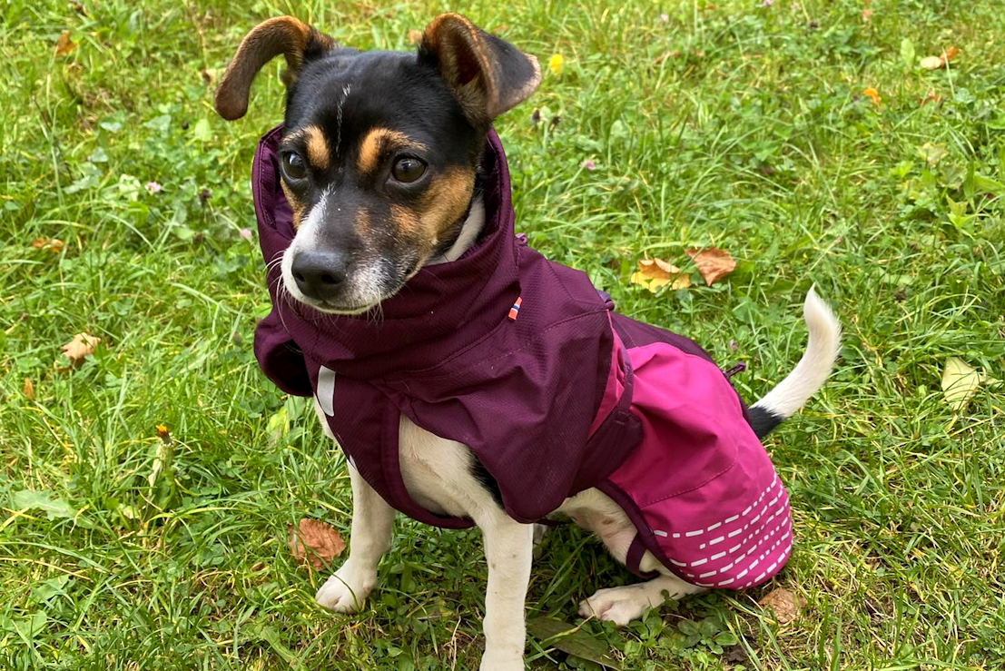 Non-Stop Dogwear Glacier Jacket 2.0 fialová - RECENZE