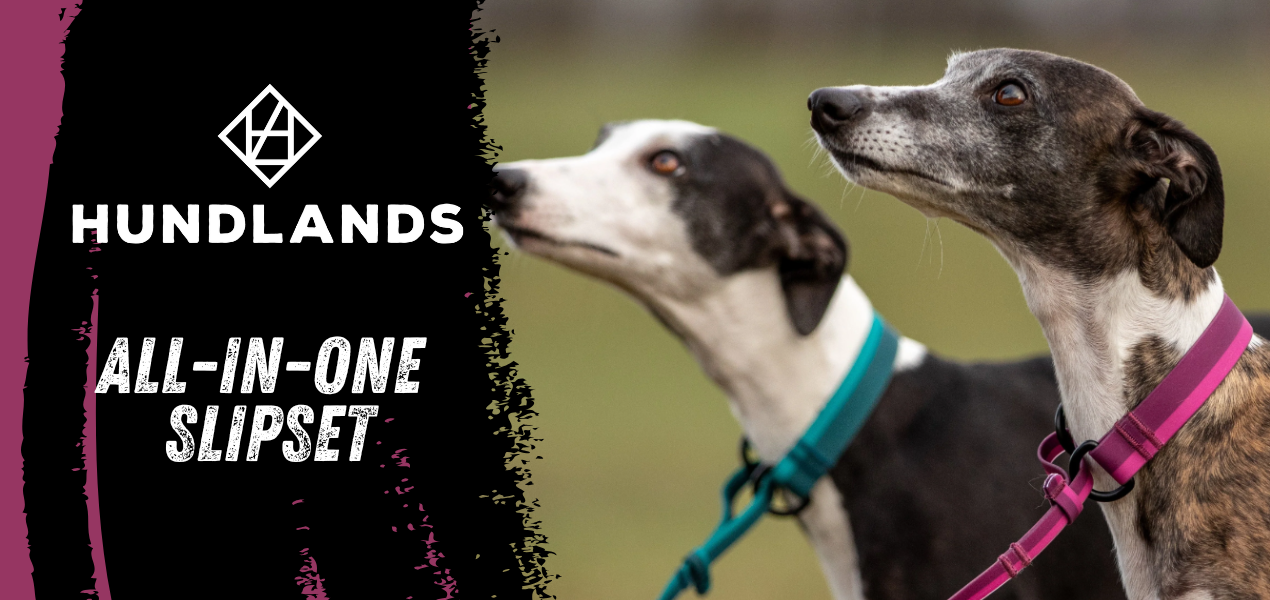 ALL-IN-ONE SLIPSET