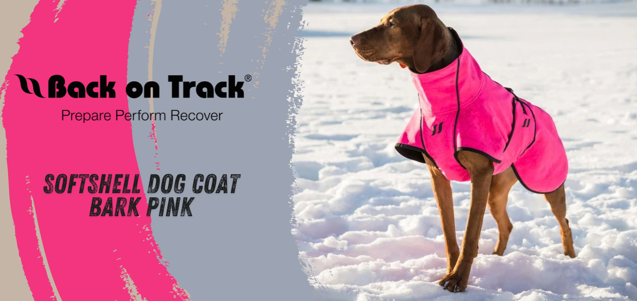 Back on Track BARK