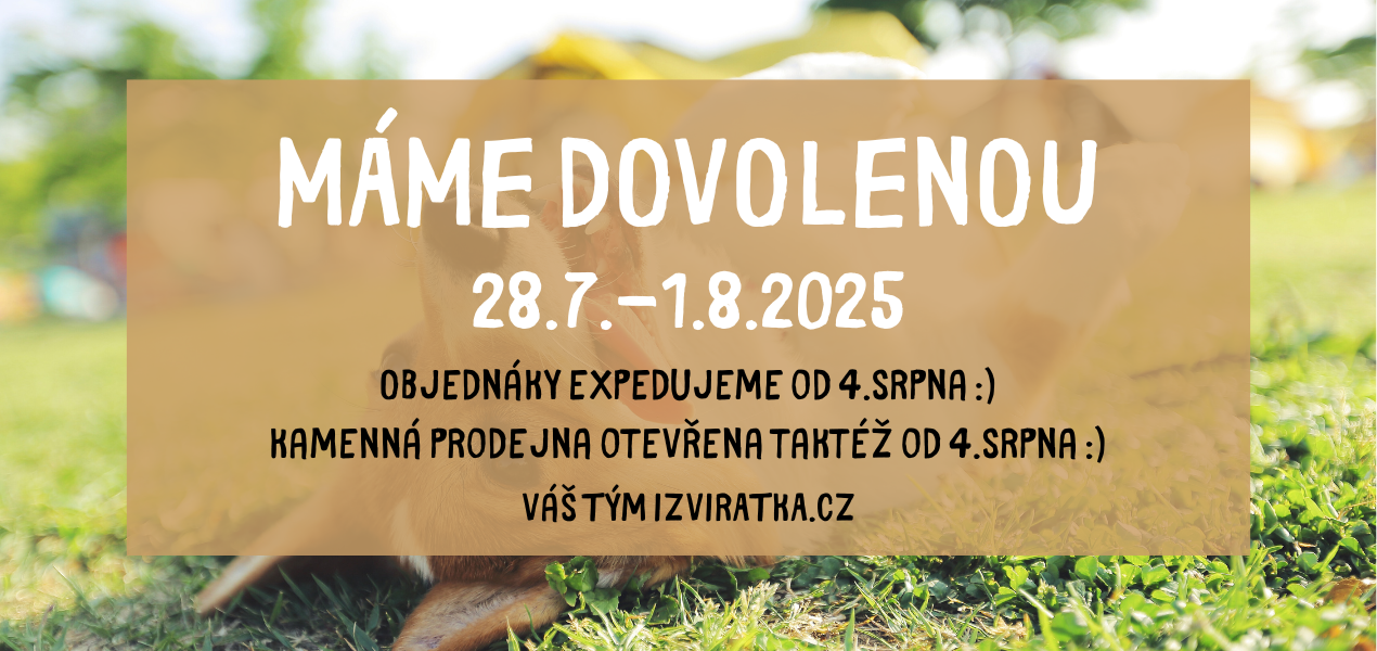 Dovolená 2025
