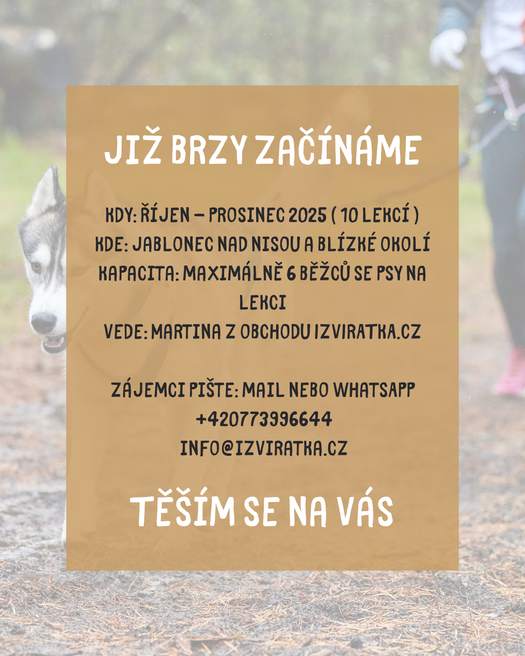 canicross_podzim_252