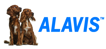 alavis_banner_75x35