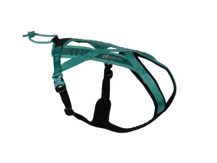 Rush Harness teal black