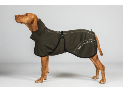 3235 BAY Mesh Dog Coat, High set tail Olive Detail 01