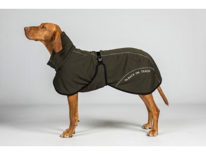 3238 BAY Mesh Dog Coat, Low set tail Olive Detail 01