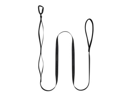 leash icon