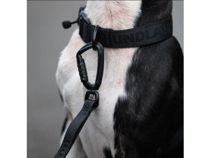 icon collar leash