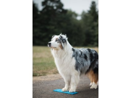 VAPAA Target 10x30cm