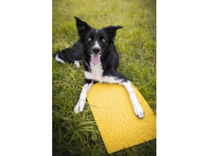 VAPAA Target 50x30cm