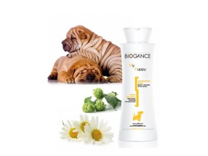 vyr 2120sh chiot 249x300