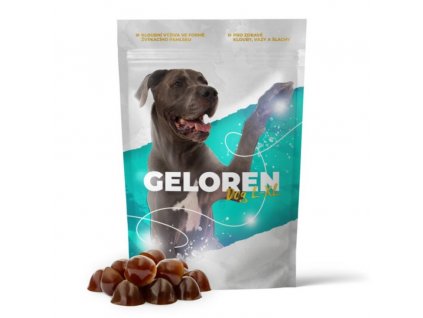 150 1 geloren dog xl mockup 1200px 4 3