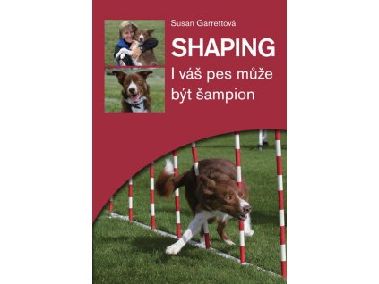 219 shaping