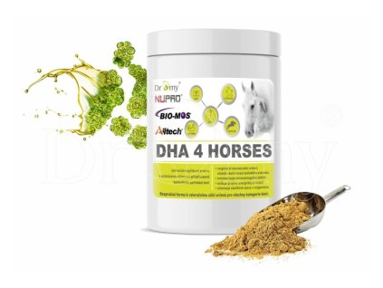 Snímek obrazovky 2025 01 20 123506