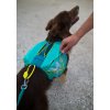 Trail light dog backpack teal01