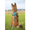 Non-stop dogwear Line 5.0  teal