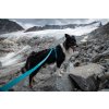 Non-stop dogwear Touring bungee teal