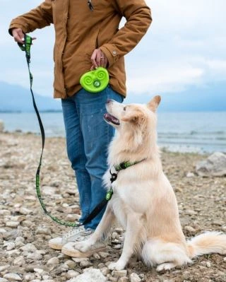 NOVINKA v sortimentu! Silikonový pamlskovník od @kiwiwalker4pets ve čtyřech barevných provedeních. 👉vyroben z jemného a...