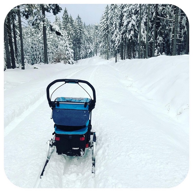 Zimní výbava chariota