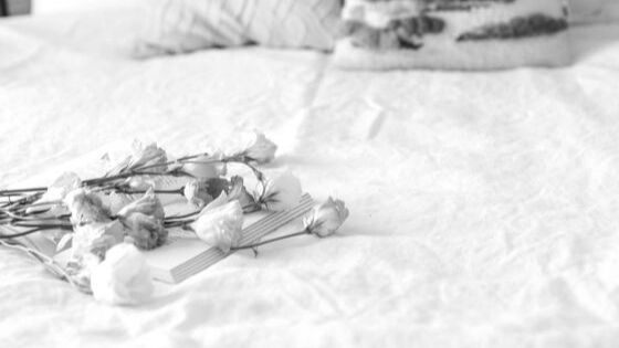 Čím vynikajú rôzne vrstvy v našich matracoch? Prehľad vlastností