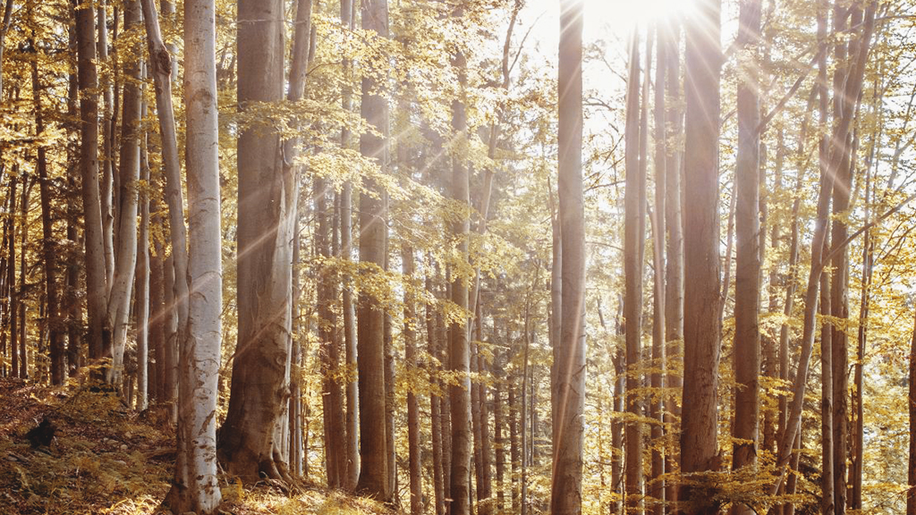 Slunce, náš zdroj energie