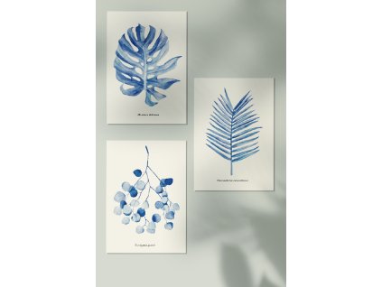 JAATY_A4_autorsky-plakat-akvarel-pokojovky