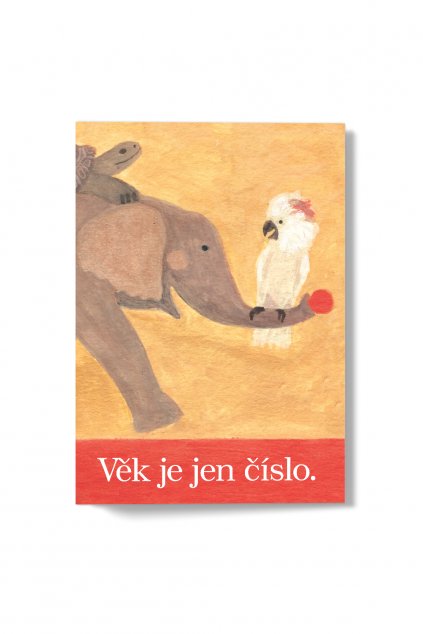 JAATY_narozeninove-pranicko_vek-je-jen-cislo-slon