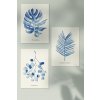JAATY_A4_autorsky-plakat-akvarel-pokojovky