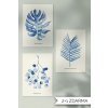 JAATY_A4_autorsky-plakat-akvarel-pokojovky