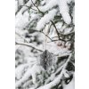 JAATY_drevena-vanocni-dekorace_skladaci-3D-vlocka_banka_ozdoba_stribrna