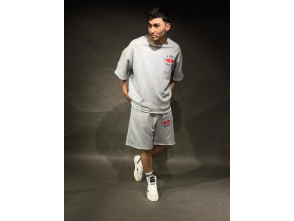 Pánský teplákovy set triko + kraťasy Fight The Death (Barva šedá, Velikost S)