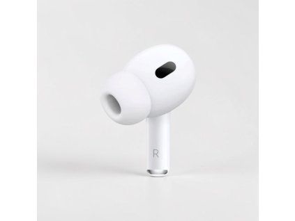 Photoroom 20260423 114934